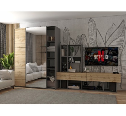 Šatní skříň s posuvnými dveřmi Doros G-Caiser Antracit / Dub Evok 1 dveře  / 1 zrcadlo / 3 části 160x60x240 (42005413)